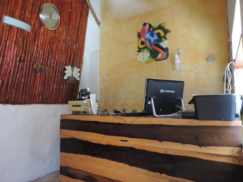 Golden Paradise Town Hotel Holbox Eksteriør billede